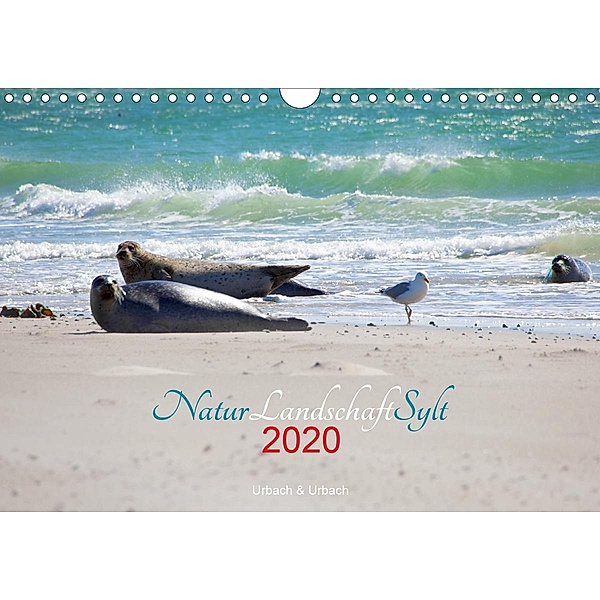 Natur Landschaft Sylt (Wandkalender 2020 DIN A4 quer), Urbach & Urbach