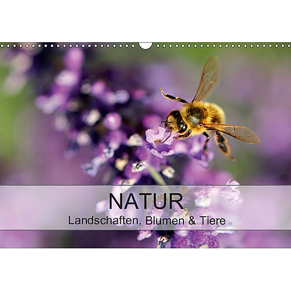 Natur Landschaften, Blumen & Tiere / Geburtstagskalender (Wandkalender 2019 DIN A3 quer), Amanda Mohler