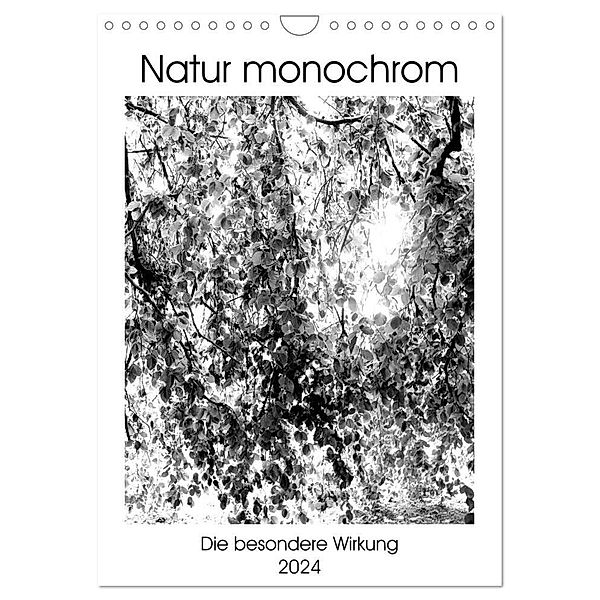 Natur monochrom Die besondere Wirkung (Wandkalender 2024 DIN A4 hoch), CALVENDO Monatskalender, Renate Grobelny