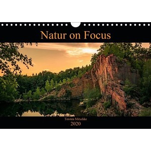 Natur on Focus (Wandkalender 2020 DIN A4 quer), Torsten Mitschke