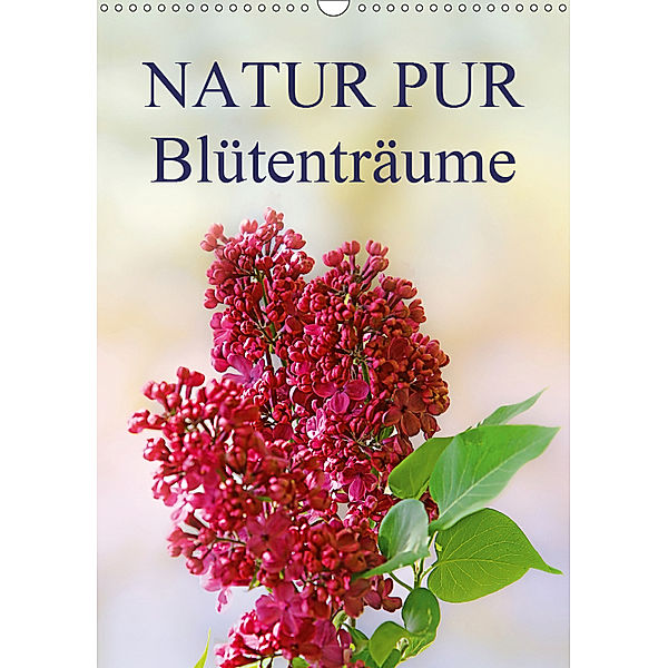 NATUR PUR Blütenträume (Wandkalender 2019 DIN A3 hoch), Karin Dietzel