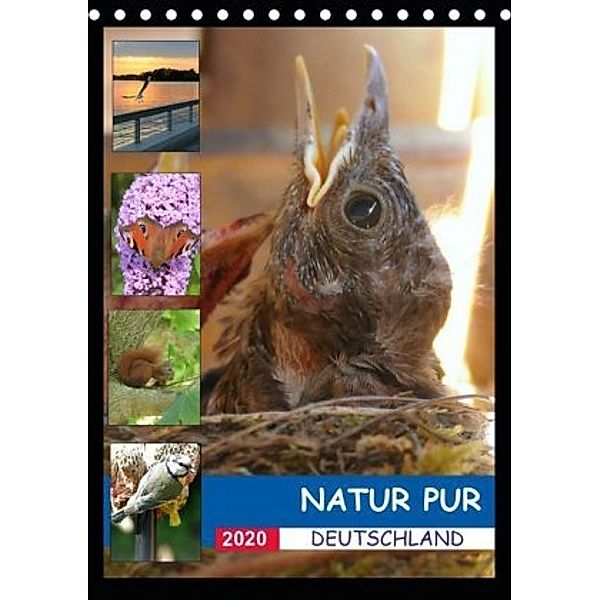 Natur pur - Deutschland (Tischkalender 2020 DIN A5 hoch), Stefan Krüger