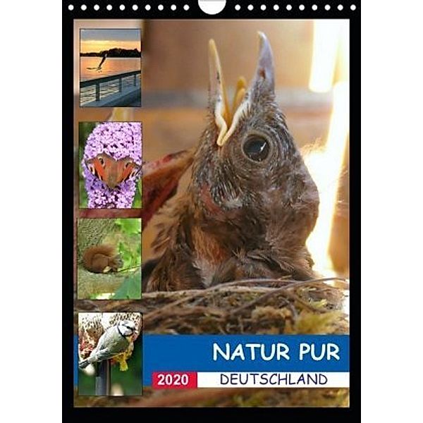 Natur pur - Deutschland (Wandkalender 2020 DIN A4 hoch), Stefan Krüger