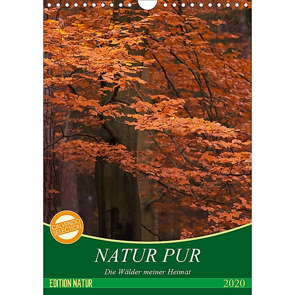 NATUR PUR - Die Wälder meiner Heimat (Wandkalender 2020 DIN A4 hoch), Karin Dietzel