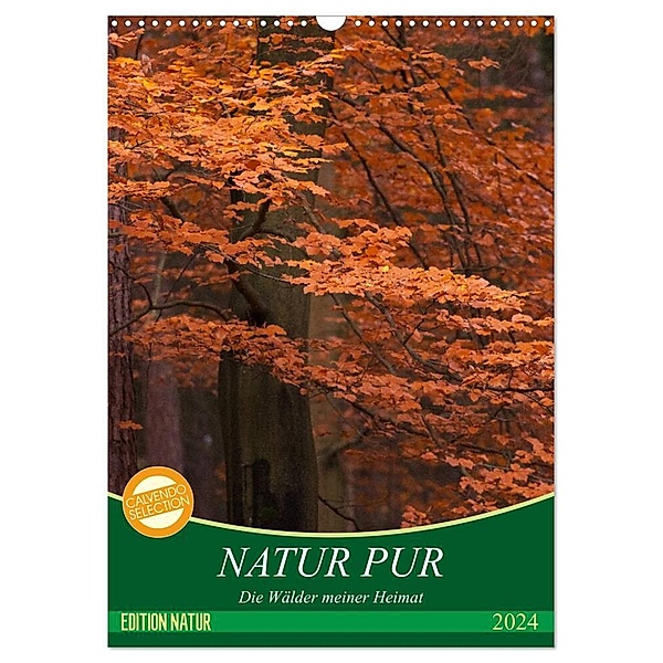 NATUR PUR - Die Wälder meiner Heimat (Wandkalender 2024 DIN A3 hoch), CALVENDO Monatskalender, Karin Dietzel