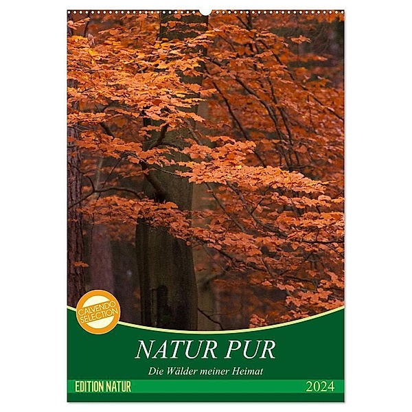 NATUR PUR - Die Wälder meiner Heimat (Wandkalender 2024 DIN A2 hoch), CALVENDO Monatskalender, Karin Dietzel