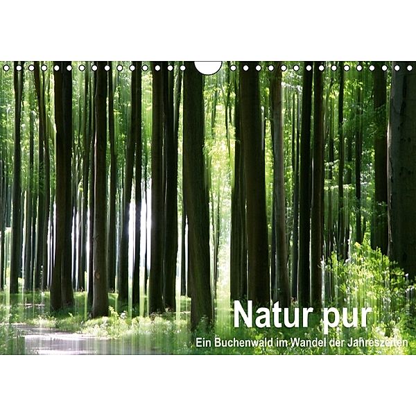 Natur pur - ein Buchenwald im Wandel der Jahreszeiten (Wandkalender 2014 DIN A4 quer), Klaus Eppele