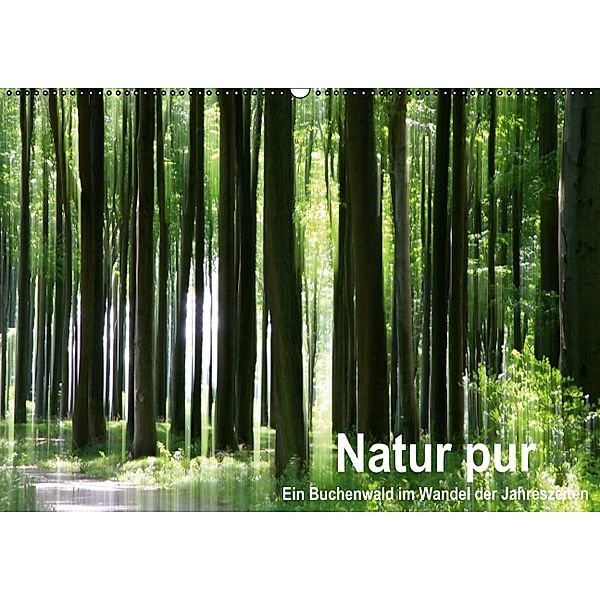Natur pur - ein Buchenwald im Wandel der Jahreszeiten (Wandkalender 2014 DIN A2 quer), Klaus Eppele