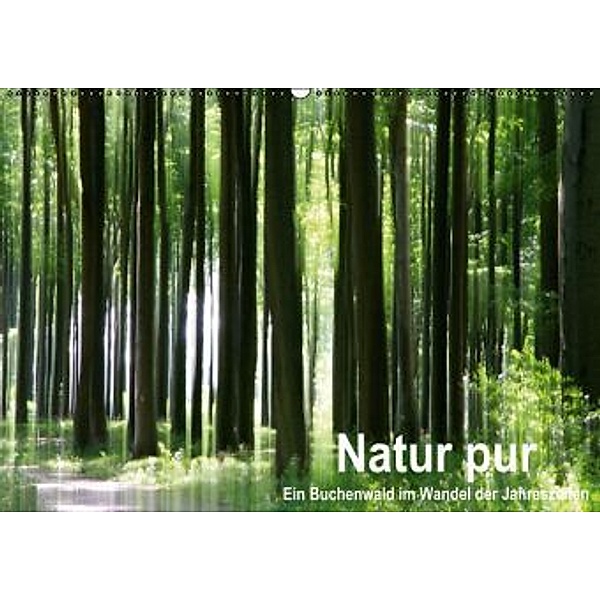 Natur pur - ein Buchenwald im Wandel der Jahreszeiten (Wandkalender 2015 DIN A2 quer), Klaus Eppele