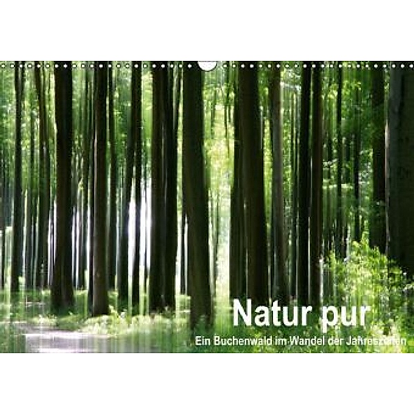 Natur pur - ein Buchenwald im Wandel der Jahreszeiten (Wandkalender 2015 DIN A3 quer), Klaus Eppele