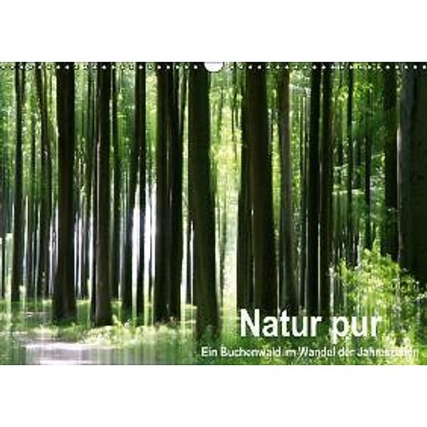 Natur pur - ein Buchenwald im Wandel der Jahreszeiten / AT-Version (Wandkalender 2015 DIN A3 quer), Klaus Eppele