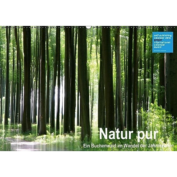 Natur pur - ein Buchenwald im Wandel der Jahreszeiten (Wandkalender 2017 DIN A2 quer), Klaus Eppele