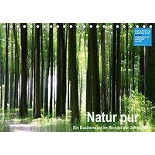 Natur pur - ein Buchenwald im Wandel der Jahreszeiten (Tischkalender 2020 DIN A5 quer), Klaus Eppele