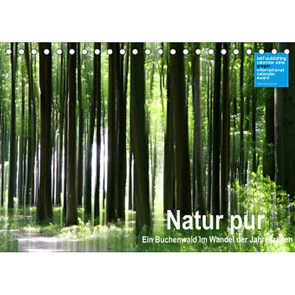 Natur pur - ein Buchenwald im Wandel der Jahreszeiten (Tischkalender 2022 DIN A5 quer), Klaus Eppele