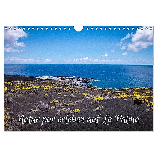 Natur pur erleben auf La Palma (Wandkalender 2025 DIN A4 quer), CALVENDO Monatskalender, Calvendo, Emel Malms