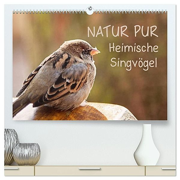 NATUR PUR Heimische Singvögel (hochwertiger Premium Wandkalender 2024 DIN A2 quer), Kunstdruck in Hochglanz, Karin Dietzel