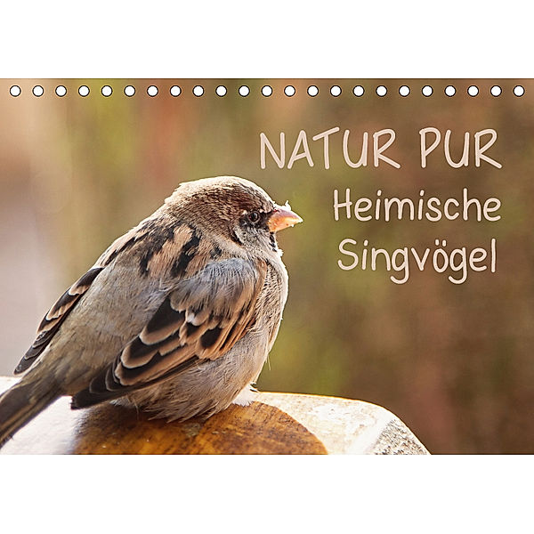 NATUR PUR Heimische Singvögel (Tischkalender 2019 DIN A5 quer), Karin Dietzel