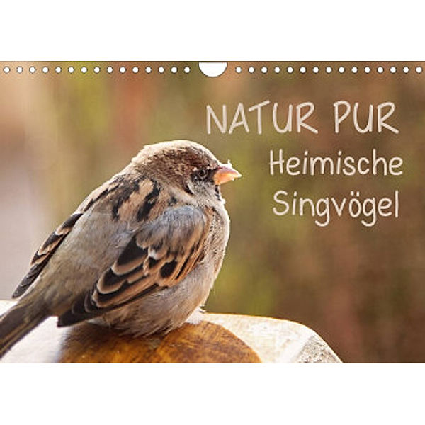 NATUR PUR Heimische Singvögel (Wandkalender 2022 DIN A4 quer), Karin Dietzel