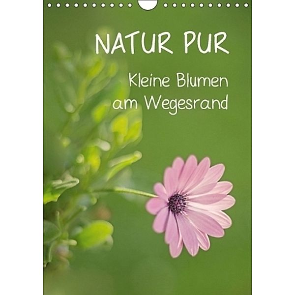 NATUR PUR Kleine Blumen am Wegesrand (Wandkalender 2017 DIN A4 hoch), Karin Dietzel