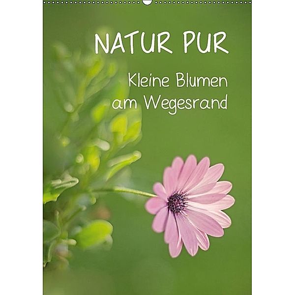 NATUR PUR Kleine Blumen am Wegesrand (Wandkalender 2017 DIN A2 hoch), Karin Dietzel