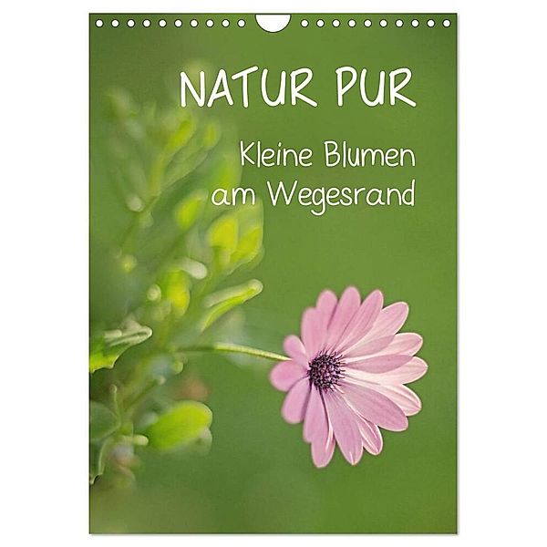 NATUR PUR Kleine Blumen am Wegesrand (Wandkalender 2024 DIN A4 hoch), CALVENDO Monatskalender, Karin Dietzel