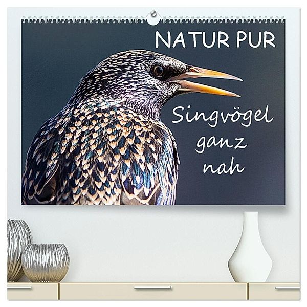 NATUR PUR - Singvögel ganz nah (hochwertiger Premium Wandkalender 2024 DIN A2 quer), Kunstdruck in Hochglanz, Karin Dietzel