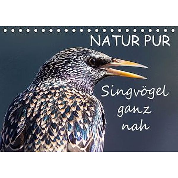 NATUR PUR - Singvögel ganz nah (Tischkalender 2016 DIN A5 quer), Karin Dietzel