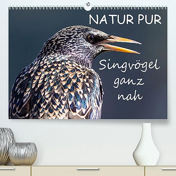 NATUR PUR - Singvögel ganz nah(Premium, hochwertiger DIN A2 Wandkalender 2020, Kunstdruck in Hochglanz), Karin Dietzel