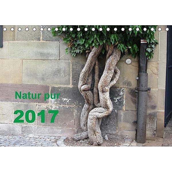 Natur pur (Tischkalender 2017 DIN A5 quer), Angelika Keller