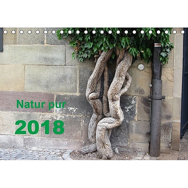 Natur pur (Tischkalender 2018 DIN A5 quer), Angelika Keller