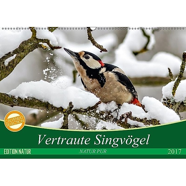 NATUR PUR Vertraute Singvögel (Wandkalender 2017 DIN A2 quer), N N