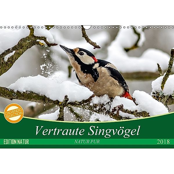 NATUR PUR Vertraute Singvögel (Wandkalender 2018 DIN A3 quer) Dieser erfolgreiche Kalender wurde dieses Jahr mit gleiche, N N