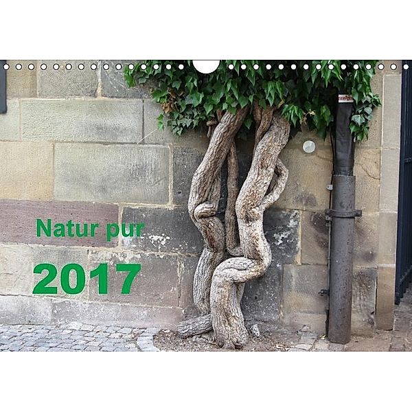 Natur pur (Wandkalender 2017 DIN A4 quer), Angelika Keller