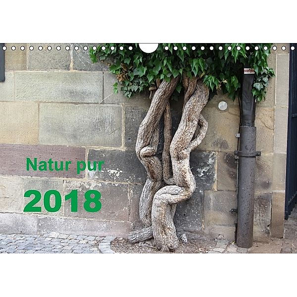 Natur pur (Wandkalender 2018 DIN A4 quer), Angelika Keller