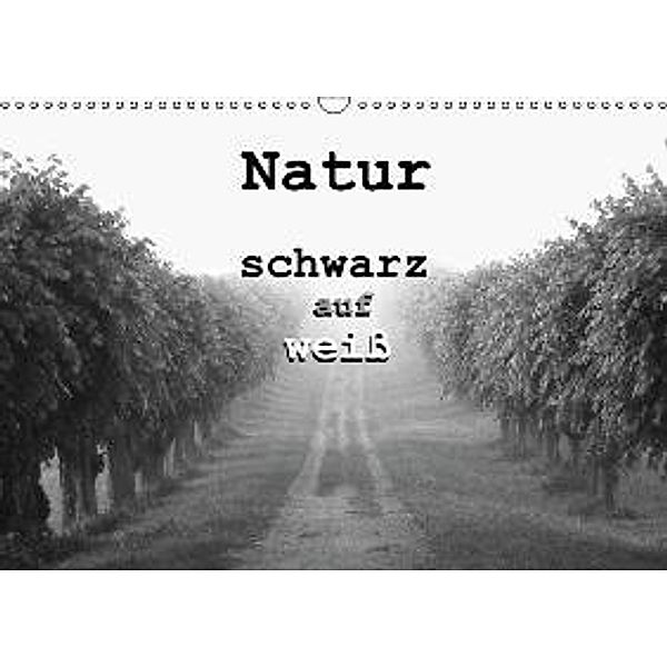 Natur - schwarz auf weiß (Wandkalender 2015 DIN A3 quer), Peter Schürholz