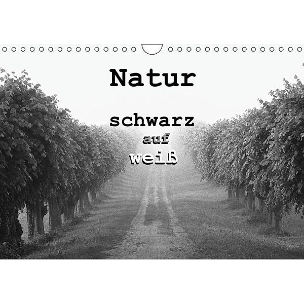 Natur - schwarz auf weiß (Wandkalender 2017 DIN A4 quer), Peter Schürholz