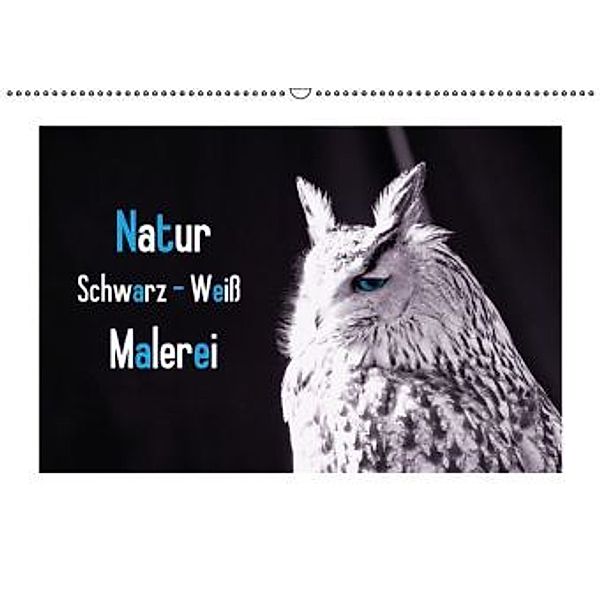 Natur schwarz - weiß Malerei (Wandkalender 2015 DIN A2 quer), Tanja Riedel