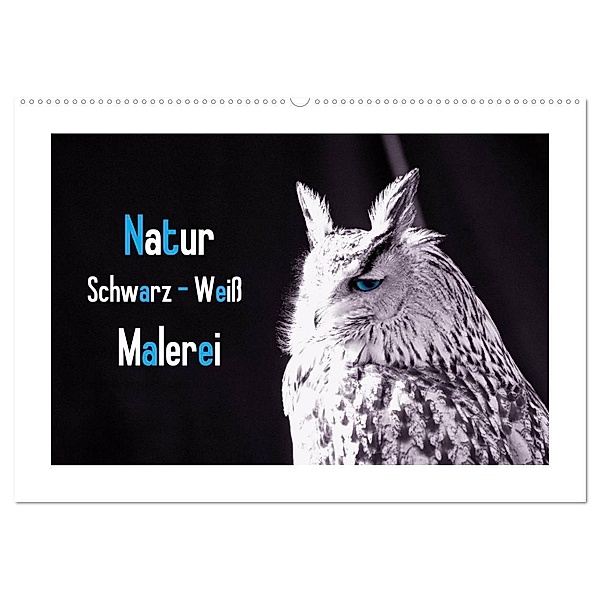 Natur schwarz - weiß Malerei (Wandkalender 2024 DIN A2 quer), CALVENDO Monatskalender, Tanja Riedel