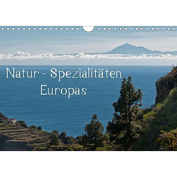 Natur-Spezialitäten Europas (Wandkalender 2020 DIN A4 quer), Stefan Willmann
