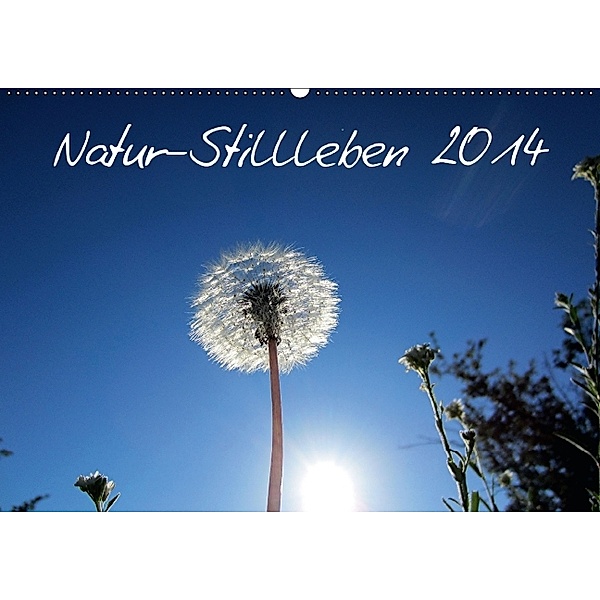 Natur-Stillleben 2014 (Wandkalender 2014 DIN A2 quer), Bernd Witkowski