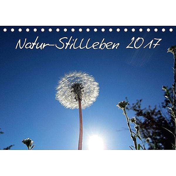 Natur-Stillleben 2017 (Tischkalender 2017 DIN A5 quer), Bernd Witkowski