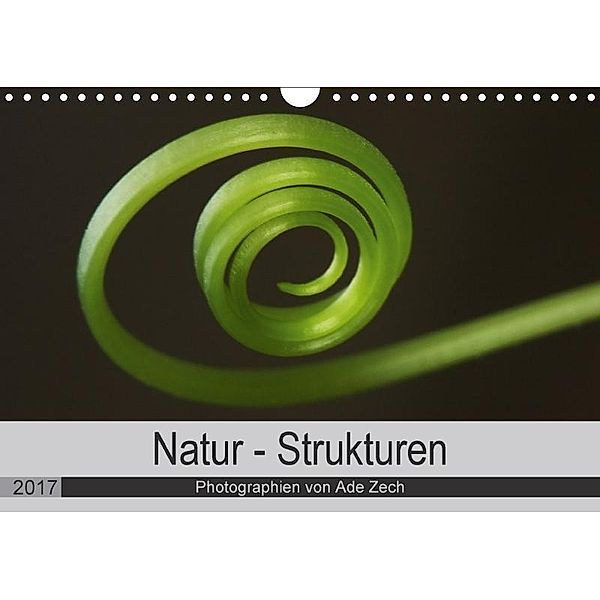 Natur - Strukturen (Wandkalender 2017 DIN A4 quer), Ade Zech