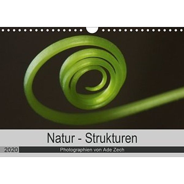 Natur - Strukturen (Wandkalender 2020 DIN A4 quer), Ade Zech