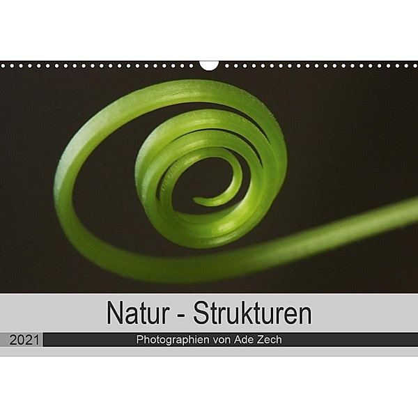Natur - Strukturen (Wandkalender 2021 DIN A3 quer), Ade Zech