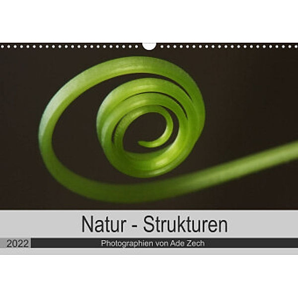 Natur - Strukturen (Wandkalender 2022 DIN A3 quer), Ade Zech