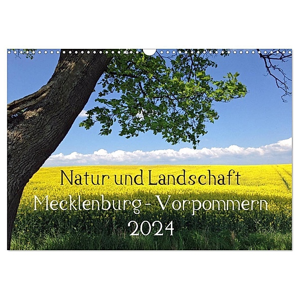 Natur und Landschaft Mecklenburg - Vorpommern 2024 (Wandkalender 2024 DIN A3 quer), CALVENDO Monatskalender, Marlen Jürgens