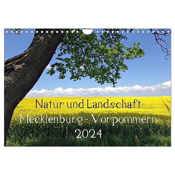 Natur und Landschaft Mecklenburg - Vorpommern 2024 (Wandkalender 2024 DIN A4 quer), CALVENDO Monatskalender, Marlen Jürgens