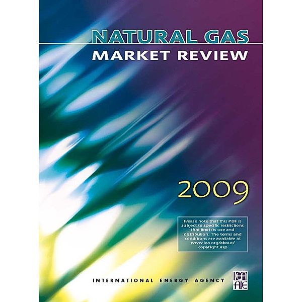 Natural Gas Market Review 2009