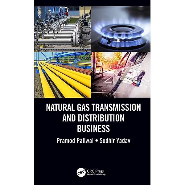 Natural Gas Transmission and Distribution Business, Pramod Paliwal, Sudhir Yadav