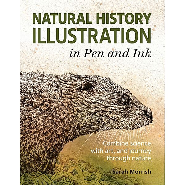 Natural History Illustration in Pen and Ink, Sarah Morrish